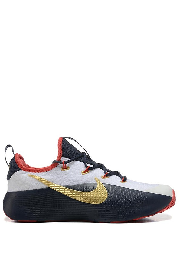 Nikee LeBron Royalty TR 1 Team USA