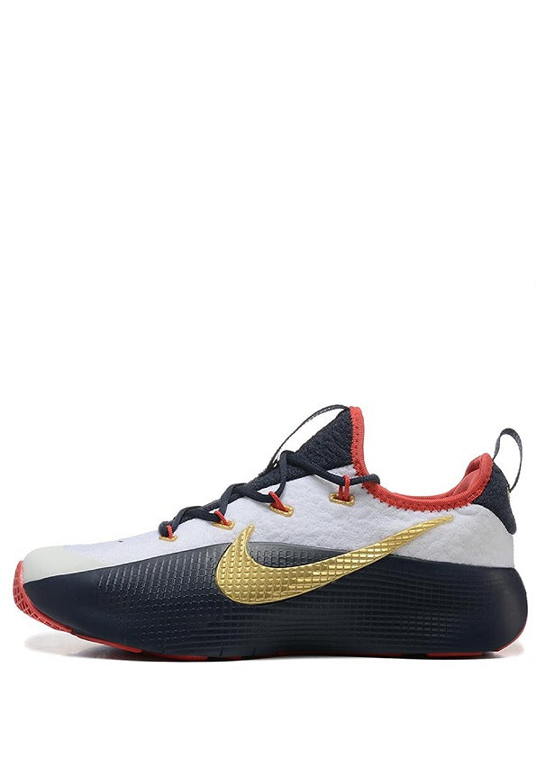 Nikee LeBron Royalty TR 1 Team USA