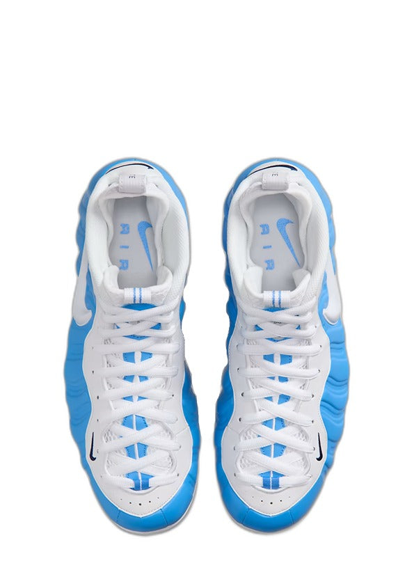 Nik_ee Air Foamposite Pro University Blue 403