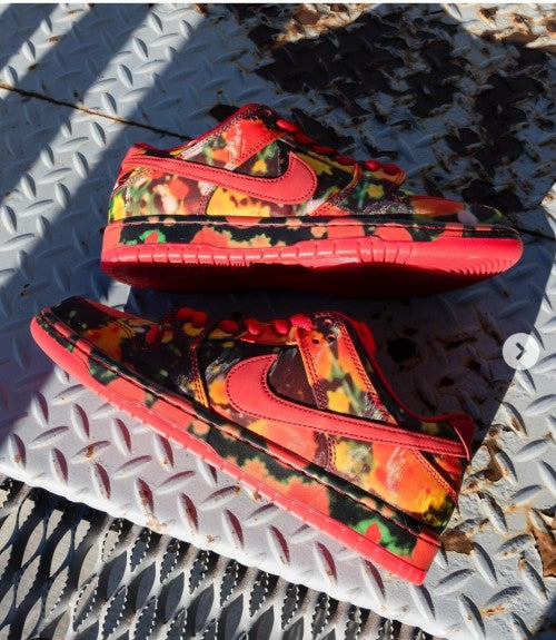 Nikee sb dunk low the wizard of oz poppy field